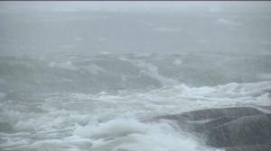 Yle Uutiset Lounais-Suomi: Yle Uutiset Lounais-Suomi 12-01-2017 Klo 17-06: 12.01.2017 16.46