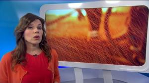 Yle Uutiset Uutis-Suomi: Yle Uutiset Uutis-Suomi 27-01-2017: 27.01.2017 20.00