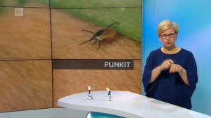 Yle Uutiset viittomakielellä: 30.07.2016 16.55