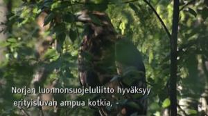 Yle Oddasat: 08.06.2016 15.15