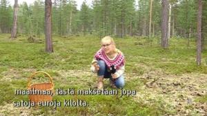 Yle Oddasat: 25.08.2016 15.15