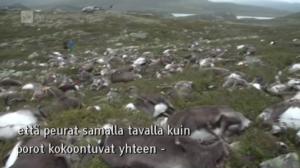 Yle Oddasat: 30.08.2016 15.15