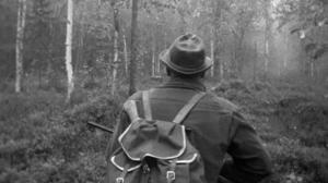 Kanakoiralla metsomailla: 19.09.2016 01.00