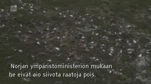 Yle Oddasat: 01.09.2016 15.15