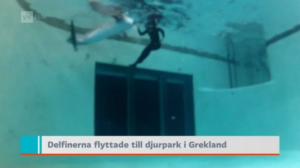 Yle Nyheter TV-nytt: 28.08.2016 19.30