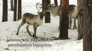 Yle Oddasat: 26.10.2016 15.15