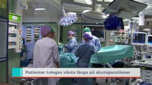 Yle Nyheter TV-nytt: 11.10.2016 19.30