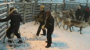 Yle Oddasat: 10.11.2016 15.15