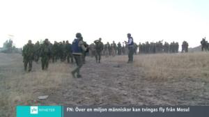Yle Nyheter TV-nytt: 17.10.2016 17.55