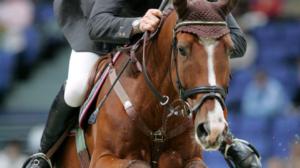 Ratsastusta: Horse Show: 23.10.2016 15.40