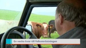 Yle Nyheter TV-nytt: 16.06.2016 19.30