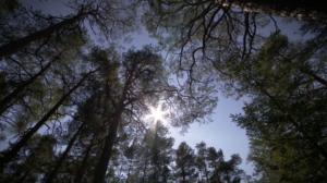 Pisara: 25.06.2016 15.10
