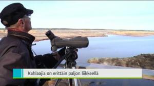 Yle Uutiset Pohjanmaa: Yle Uutiset Pohjanmaa 17-05-2016 Klo 18-22: 17.05.2016 17.51