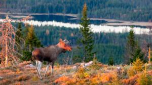Luontoretkellä: 12.09.2016 12.55