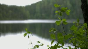 Korpijengi: Räppiä ja treeniä: 02.08.2016 11.00