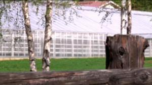 Yle Uutiset Lappi: Yle Uutiset Lappi 26-05-2016 Klo 17-06: 26.05.2016 16.37