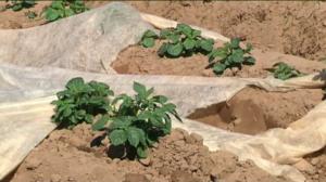 Yle Uutiset Lappi: Yle Uutiset Lappi 02-06-2016 Klo 17-06: 02.06.2016 16.36