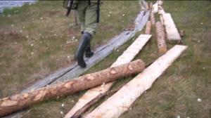 Yle Uutiset Pohjanmaa: Yle Uutiset Pohjanmaa 08-06-2016 Klo 17-06: 08.06.2016 16.39
