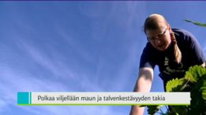 Yle Uutiset Pohjanmaa: Yle Uutiset Pohjanmaa 28-06-2016 Klo 18-22: 28.06.2016 18.03
