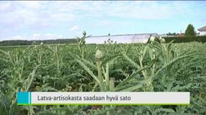 Yle Uutiset Lounais-Suomi: Yle Uutiset Lounais-Suomi 08-08-2016 Klo 18-22: 08.08.2016 17.08