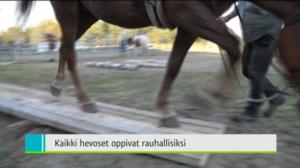 Yle Uutiset Pohjanmaa: Yle Uutiset Pohjanmaa 17-08-2016 Klo 18-22: 17.08.2016 18.13