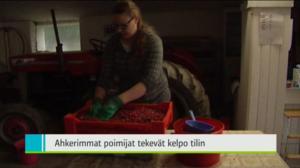 Yle Uutiset Pohjanmaa: Yle Uutiset Pohjanmaa 22-08-2016 Klo 18-22: 22.08.2016 17.51