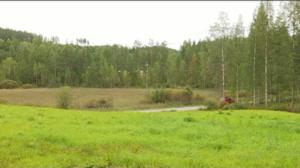 Yle Uutiset Itä-Suomi: Yle Uutiset Itä-Suomi 29-08-2016 Klo 17-06: 29.08.2016 16.33