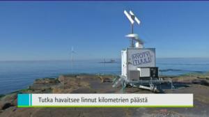 Yle Uutiset Lounais-Suomi: Yle Uutiset Lounais-Suomi 21-09-2016 Klo 18-22: 21.09.2016 18.09