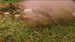 Yle Uutiset Häme: Yle Uutiset Häme 27-09-2016 klo 17-06: 27.09.2016 16.36