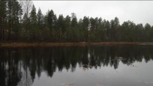 Yle Uutiset Pohjanmaa: Yle Uutiset Pohjanmaa 07-10-2016 Klo 17-06: 07.10.2016 16.40
