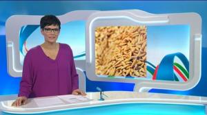 Yle Uutiset Häme: Yle Uutiset Häme 10-10-2016 Klo 18-22: 10.10.2016 17.32
