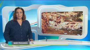 Yle Uutiset Pohjois-Suomi: Yle Uutiset Pohjois-Suomi 13-10-2016 Klo 18-22: 13.10.2016 18.09