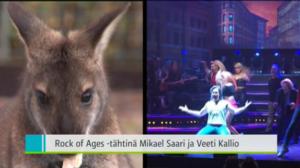 Yle Uutiset Lounais-Suomi: Yle Uutiset Lounais-Suomi 18-10-2016 Klo 18-22: 18.10.2016 18.02