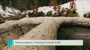 Yle Uutiset Uusimaa: Yle Uutiset Uusimaa 16-11-2016 klo 18-22: 16.11.2016 18.34
