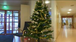 Yle Uutiset Kaakkois-Suomi: Yle Uutiset Kaakkois-Suomi 12-12-2016 Klo 17-06: 12.12.2016 16.33