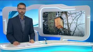 Yle Uutiset Häme: Yle Uutiset Häme 13-12-2016 Klo 18-22: 13.12.2016 17.29
