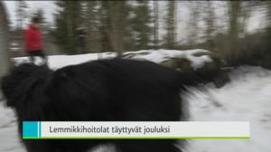 Yle Uutiset Itä-Suomi: Yle Uutiset Itä-Suomi 22-12-2016 Klo 18-22: 22.12.2016 17.44