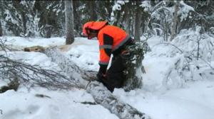 Yle Uutiset Lappi: Yle Uutiset Lappi 23-12-2016 Klo 17-06: 23.12.2016 16.40
