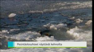 Yle Uutiset Kaakkois-Suomi: Yle Uutiset Kaakkois-Suomi 29-12-2016 Klo 18-22: 29.12.2016 17.34