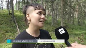 Yle Uutiset Pirkanmaa: Metsäjoogaa Seitsemisessä: 22.07.2016 12.42