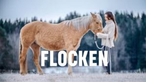 Hevoset muuttivat elämän