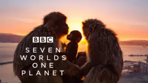 Seven Worlds, One Planet