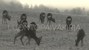 Luontopäiväkirja
