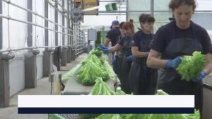 Yle Uutiset Kaakkois-Suomi