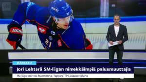 Urheiluruutu