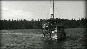 Vuosirenkaita