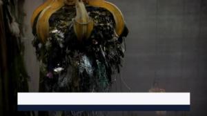 Yle Uutiset Uusimaa
