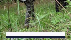 Yle Uutiset Häme
