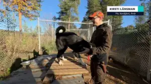 Yle Oddasat