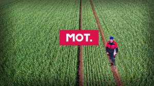 MOT